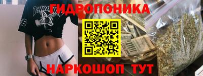 скорость Кинель