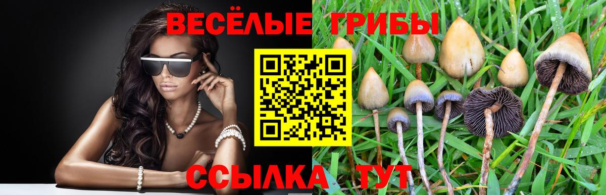 Псилоцибиновые грибы ЛСД  Вход с VPN  Псилоцибиновые грибы GOLDEN TEACHER  Комсомольск-на-Амуре 