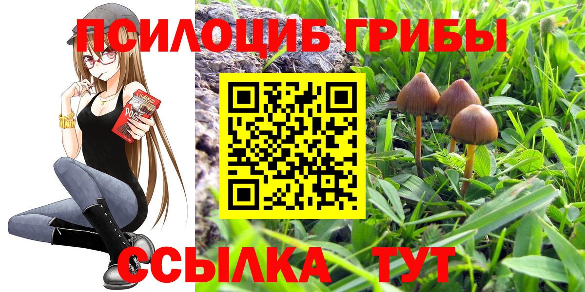 Псилоцибиновые грибы прущие грибы Комсомольск-на-Амуре